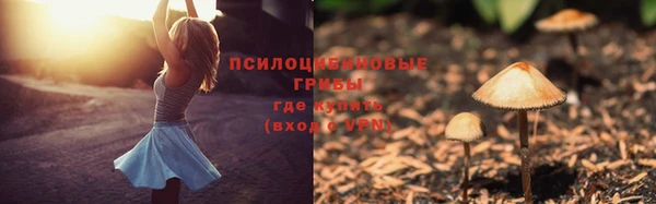 mix Абаза