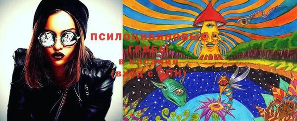 индика Абдулино