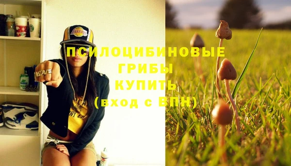 mix Абаза