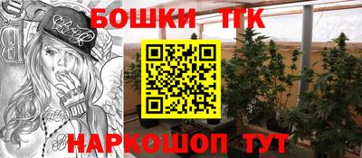 трава Кингисепп