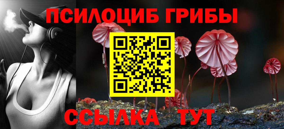 Галлюциногенные грибы Cubensis  Псилоцибиновые грибы Psilocybe  Вход с VPN  Смоленск 